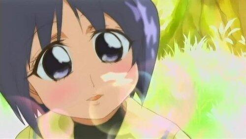 The Day Long Glory of Kinka's Bloom The Day Long Glory of Kinka's Bloom