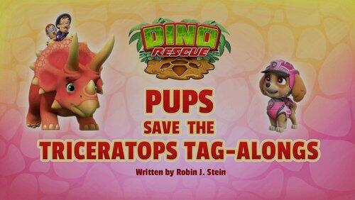 Pups Save a Sore Dino Pups Save a Sore Dino