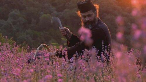 Mt Athos/Samothrace Mt Athos/Samothrace