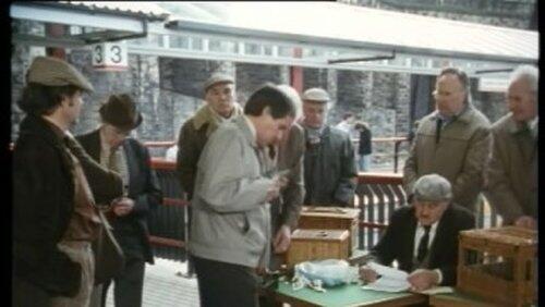 A Bird in the Hand is Worth Two in Shepherd's Bush A Bird in the Hand is Worth Two in Shepherd's Bush