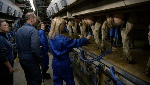 De boeren maken zich op voor de logeerweek De boeren maken zich op voor de logeerweek
