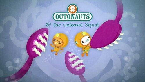 The Colossal Squid The Colossal Squid