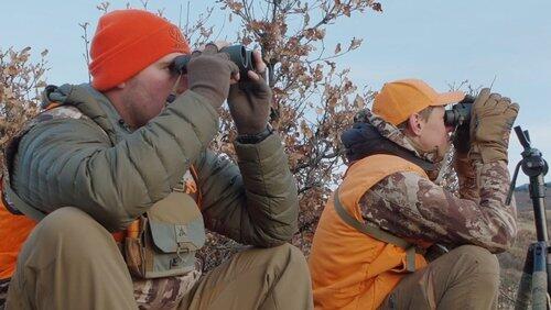 Colorado Mule Deer: Baseball and Bucks Colorado Mule Deer: Baseball and Bucks