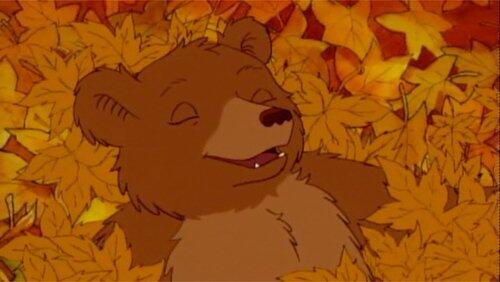 Fall Dream Fall Dream