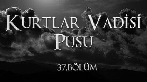 Episode 37 Episode 37