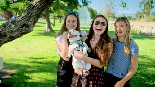 La Dogs La Dogs