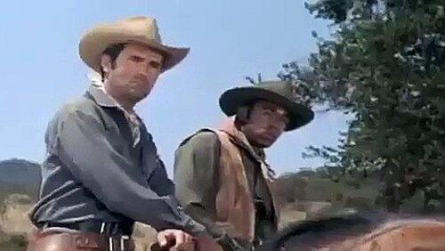 Forty Rifles Forty Rifles