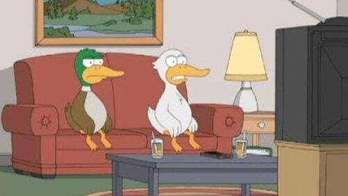 Two Ducks Watch 'Meet the Parents' Two Ducks Watch 'Meet the Parents'