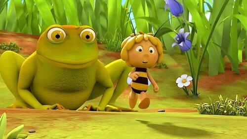 The Meadow Friends The Meadow Friends
