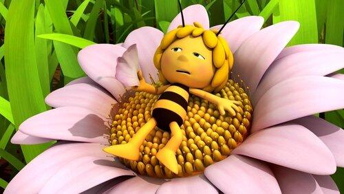 Bee Clean Bee Clean