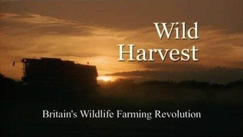 Wild Harvest Wild Harvest