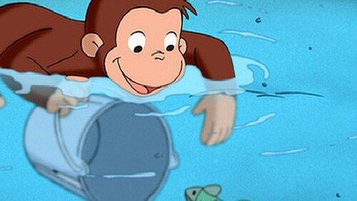 Little Fish, Littler Pond Little Fish, Littler Pond