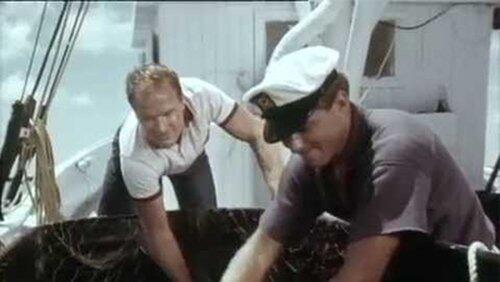 Flipper's Odyssey (1)