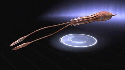Giant Squid Ambush Giant Squid Ambush