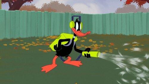 Bugs Hole Gags 2: Down the Drain Bugs Hole Gags 2: Down the Drain