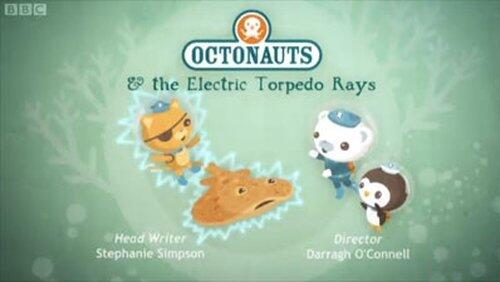 The Electric Torpedo Rays The Electric Torpedo Rays