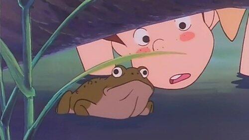The Frog Contest The Frog Contest