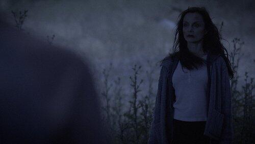 The Woman in the Woods The Woman in the Woods