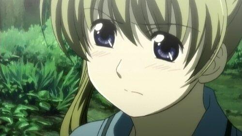 That Which Disappeared from Yasuna's View That Which Disappeared from Yasuna's View