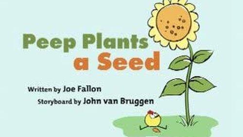 Peep Plants A Seed Peep Plants A Seed