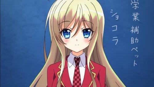 Harems are Amazing! / Feels the Best in the World! Harems are Amazing! / Feels the Best in the World!