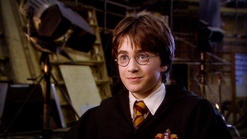 Harry Potter Harry Potter
