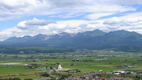 Furano: Summer in the Purple City Furano: Summer in the Purple City