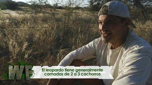 Africa: Episode 2 Africa: Episode 2