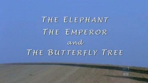 The Elephant, The Emperor and Butterfly Tree The Elephant, The Emperor and Butterfly Tree