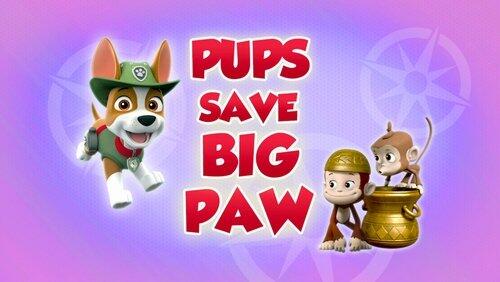 Pups Save Big Paw Pups Save Big Paw