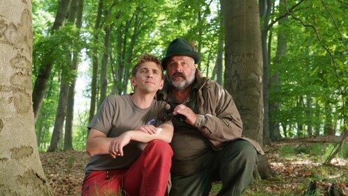 Wildschweine - Auf Fährtensuche im Wald Wildschweine - Auf Fährtensuche im Wald