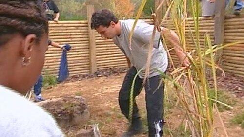 Snake Wrangling Snake Wrangling
