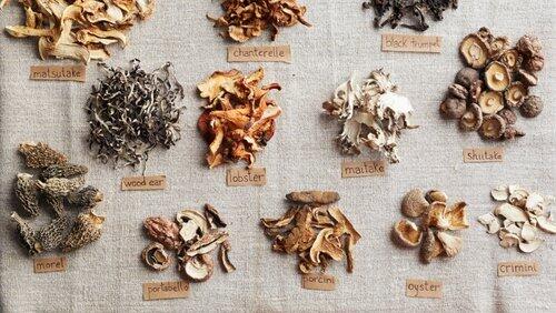 Mushrooms Mushrooms
