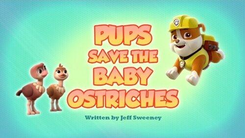 Pups Save The Baby Ostriches Pups Save The Baby Ostriches