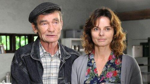 Ta piękna co zeszła na psy Ta piękna co zeszła na psy