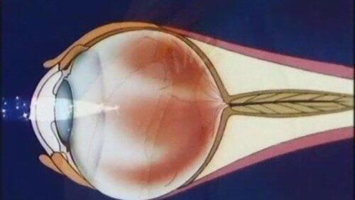 The Eye The Eye