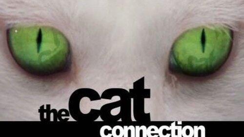 The Cat Connection The Cat Connection