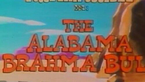 The Alabama Brahma Bull The Alabama Brahma Bull