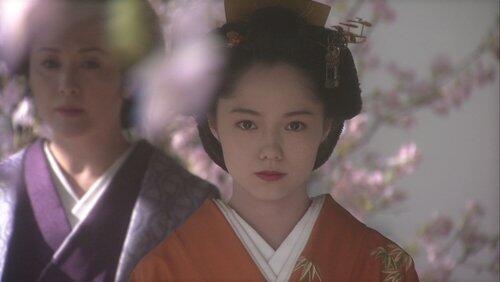 The Shogun's Secret The Shogun's Secret