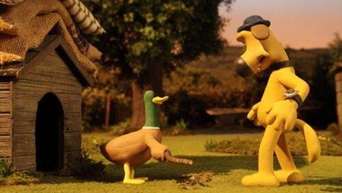 Duck! Duck!