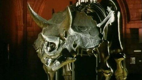 Dinosaur Dinosaur