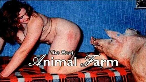 The Real Animal Farm The Real Animal Farm
