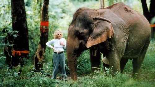 The White Elephants of Thailand with Meg Ryan The White Elephants of Thailand with Meg Ryan