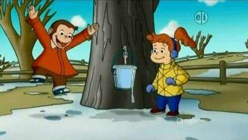 Maple Monkey Madness Maple Monkey Madness