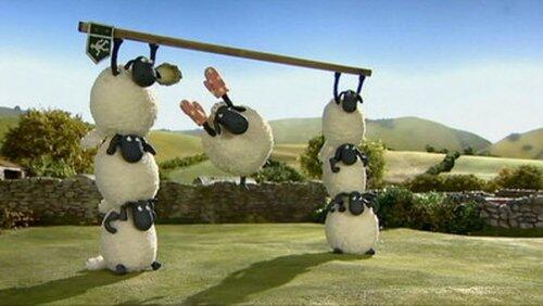 Off the Baa! Off the Baa!