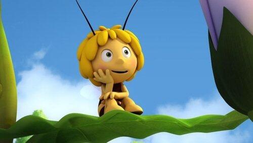 Bee Day Bee Day
