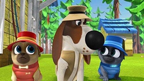 Pigs and Pugs Pigs and Pugs