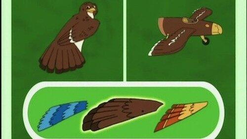 Jorge the Little Hawk Learns to Migrate Jorge the Little Hawk Learns to Migrate