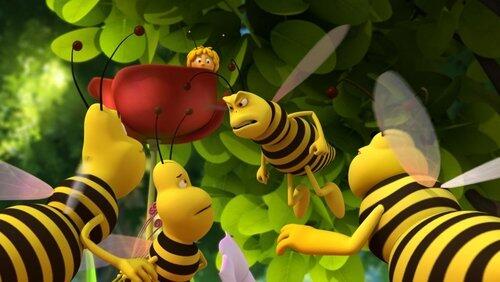 What a Nice Wasp What a Nice Wasp