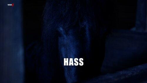 Hass Hass